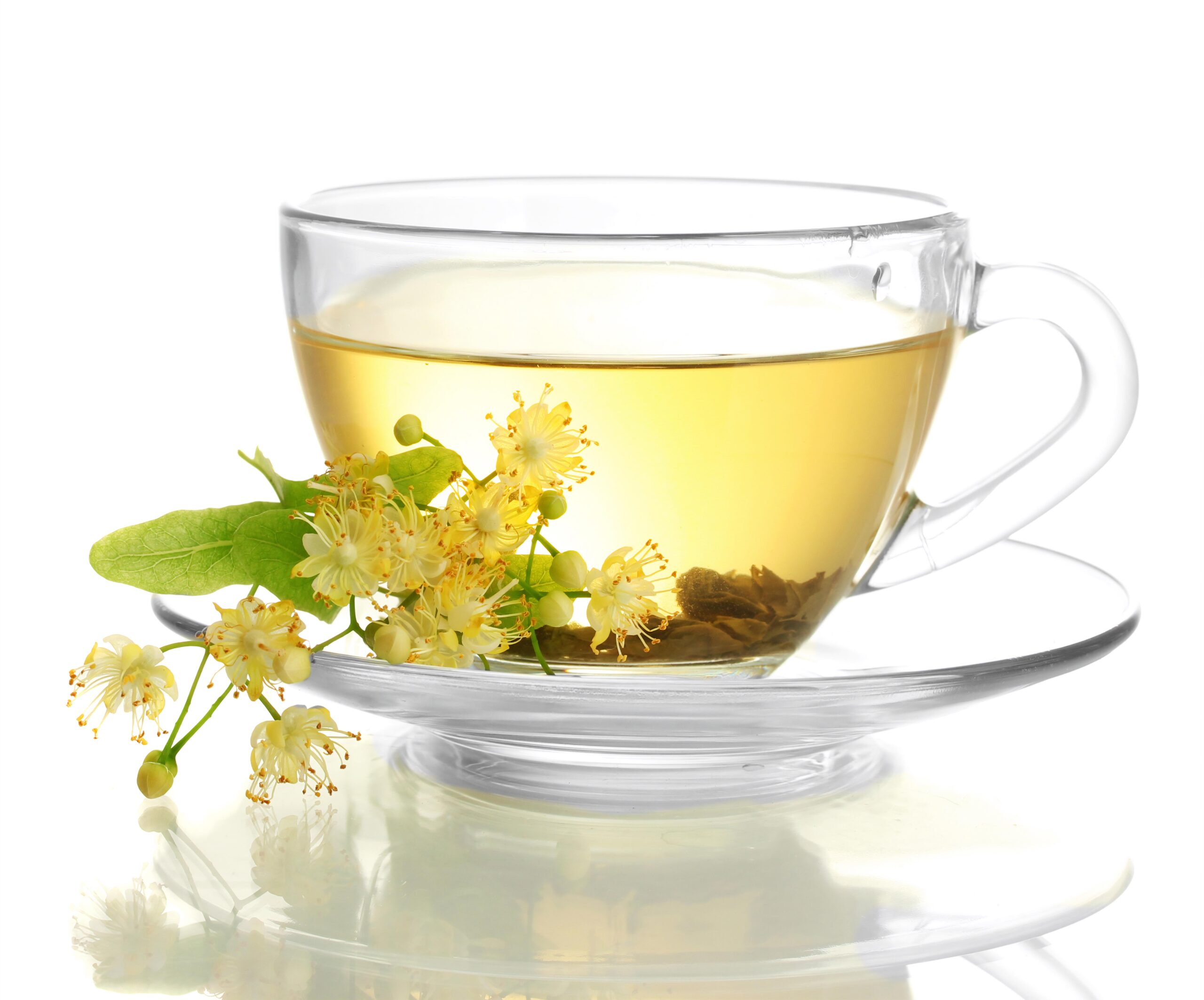 A glass cup of linden blossom tea with fresh linden flowers