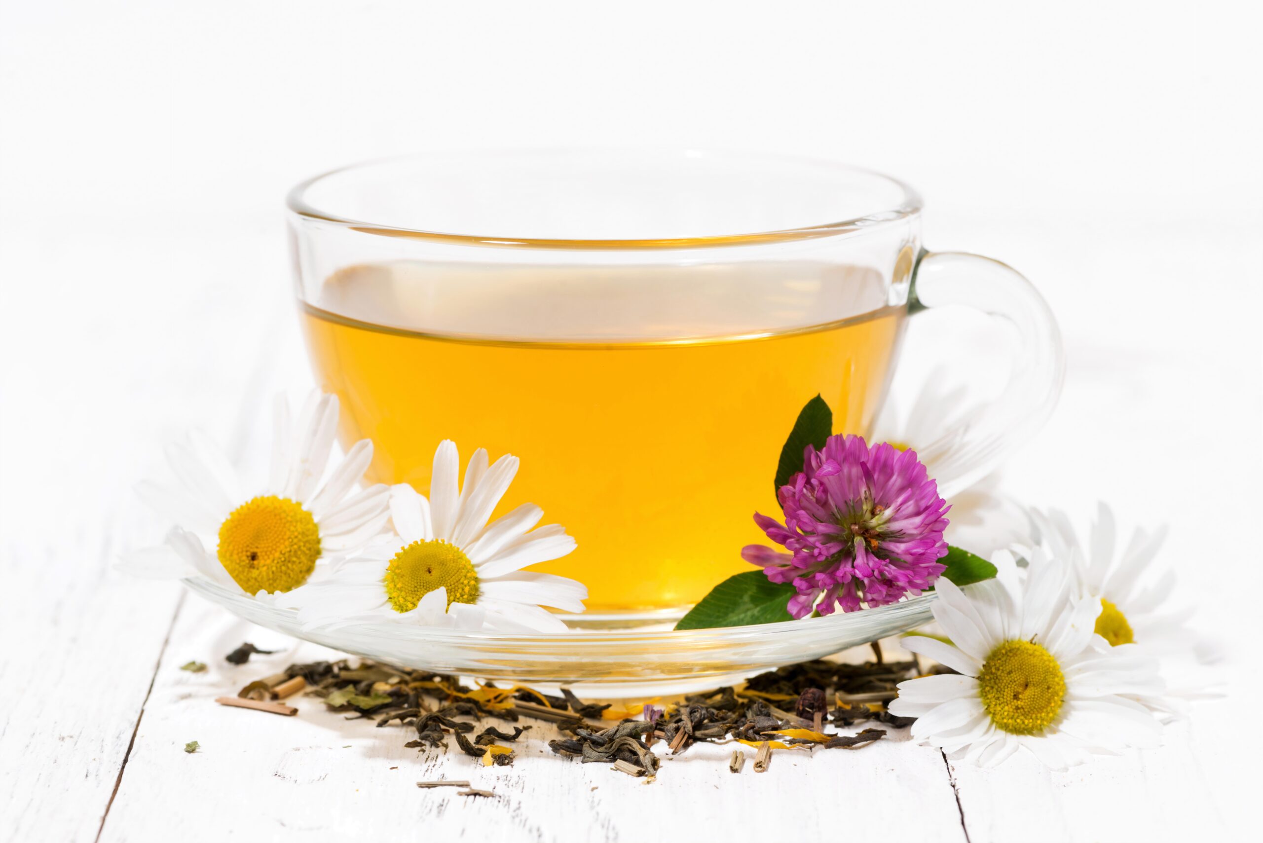 A glass cup of herbal tea with chamomile flowers and red clover on a white wooden table